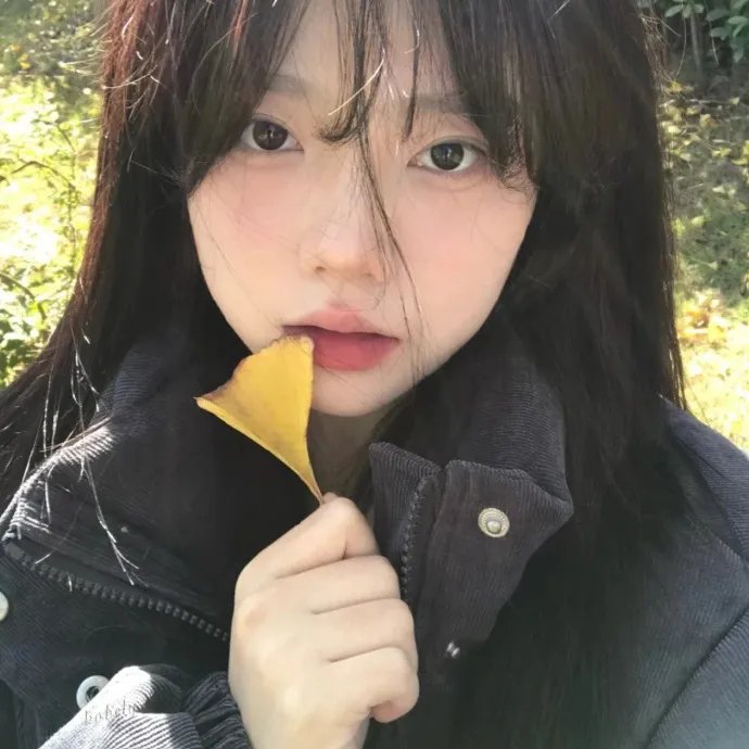 大理寺日志第二季